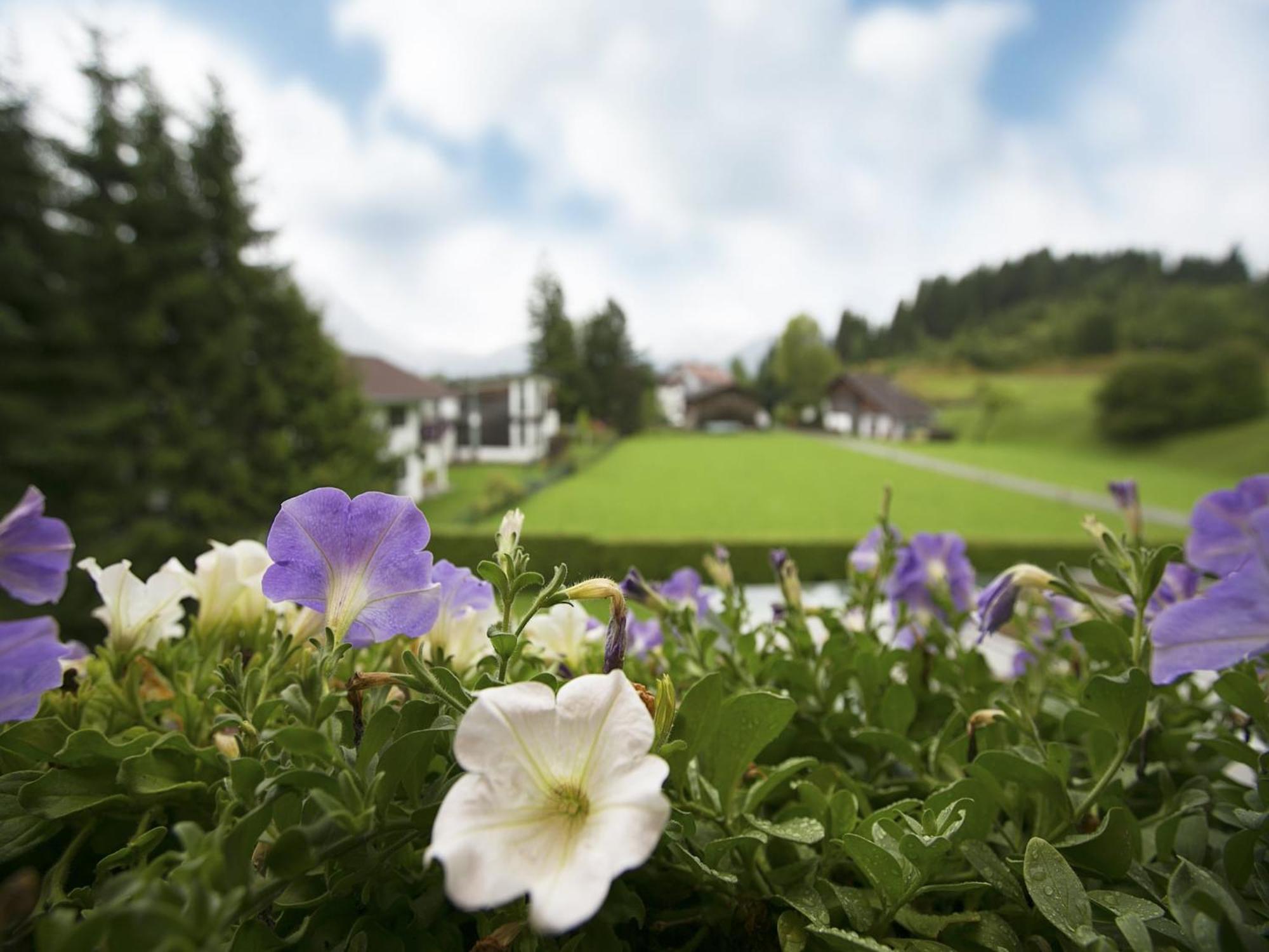 Apartment In W Ngle Tyrol With Walking Trails Near Reutte Extérieur photo