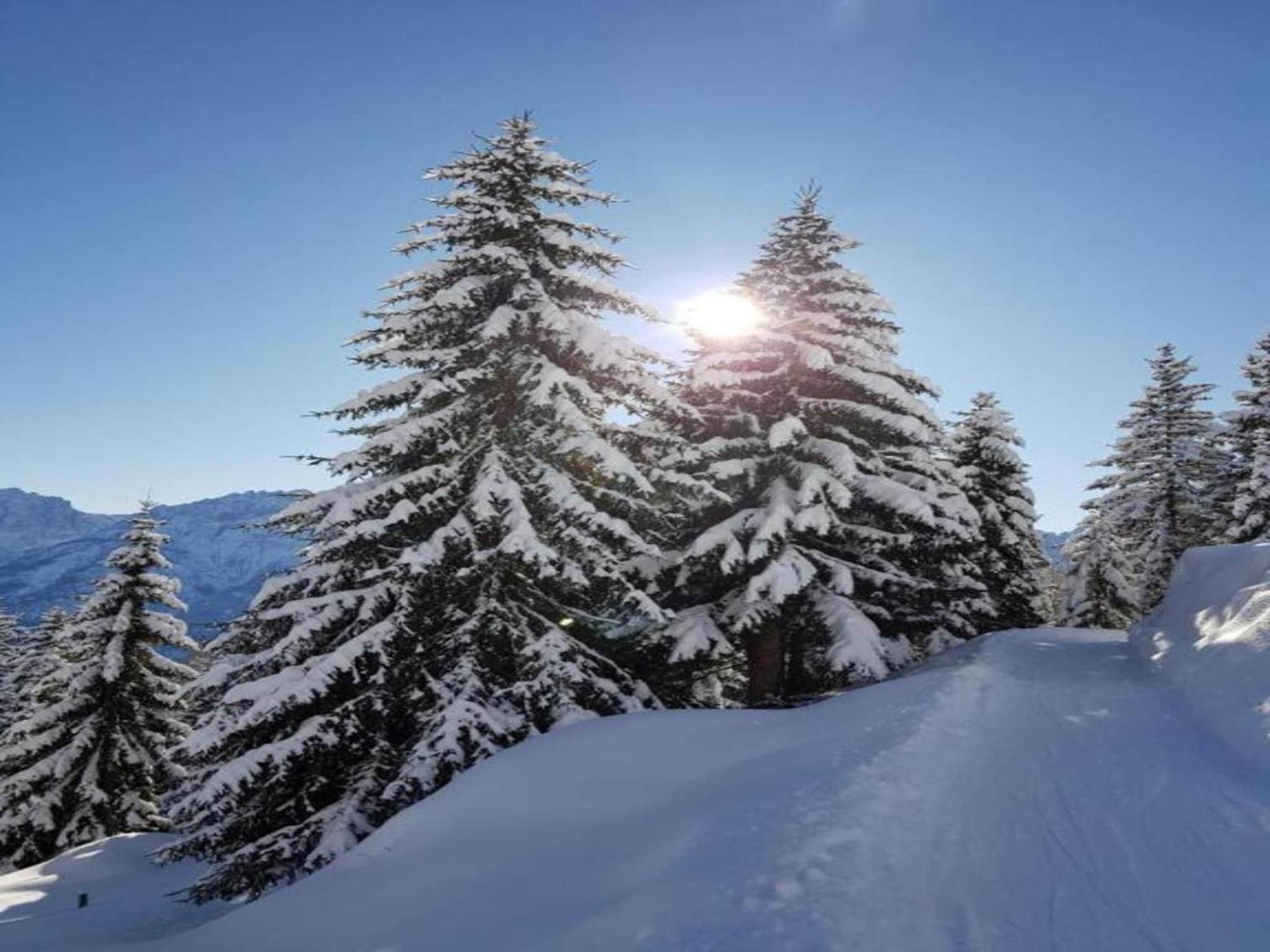 Apartment In W Ngle Tyrol With Walking Trails Near Reutte Extérieur photo