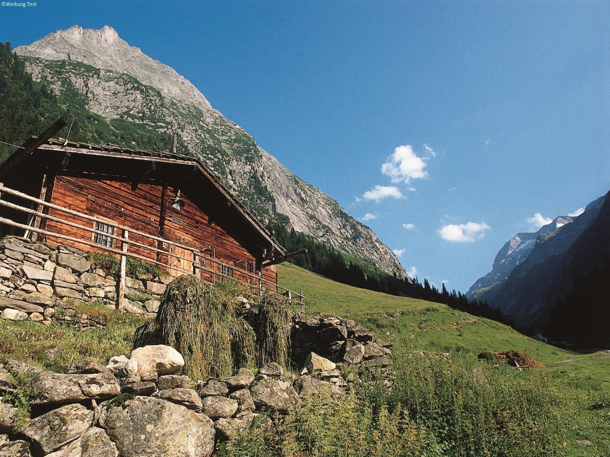 Apartment In W Ngle Tyrol With Walking Trails Near Reutte Extérieur photo